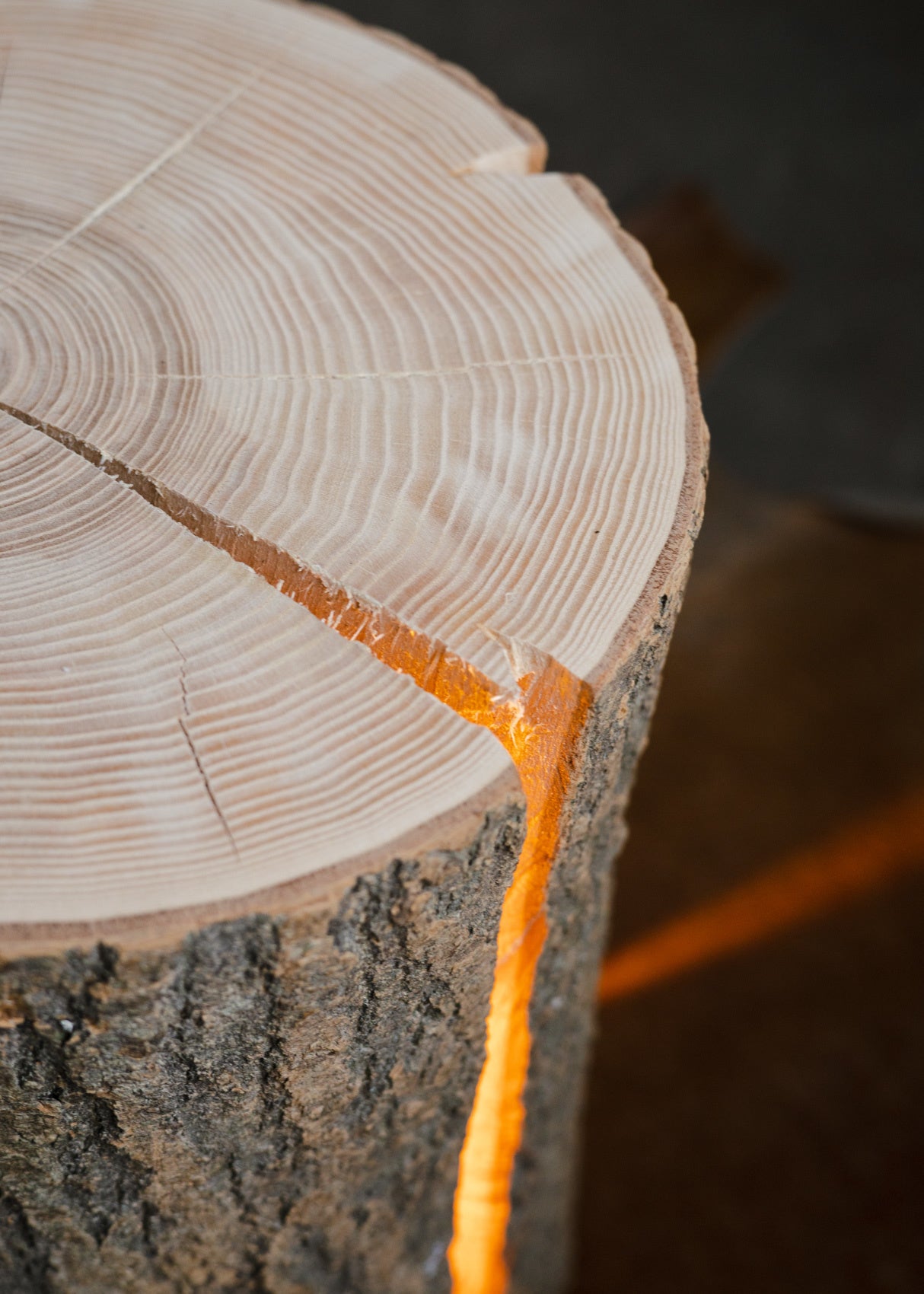 Wood Light - Ash Wood M