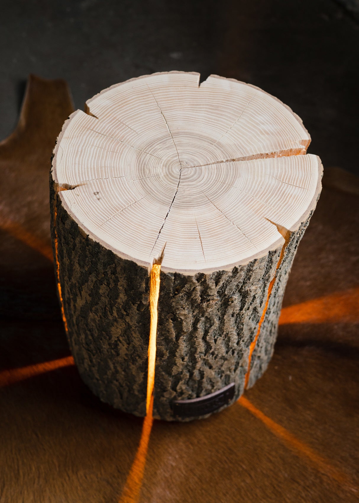 Wood Light - Ash Wood M