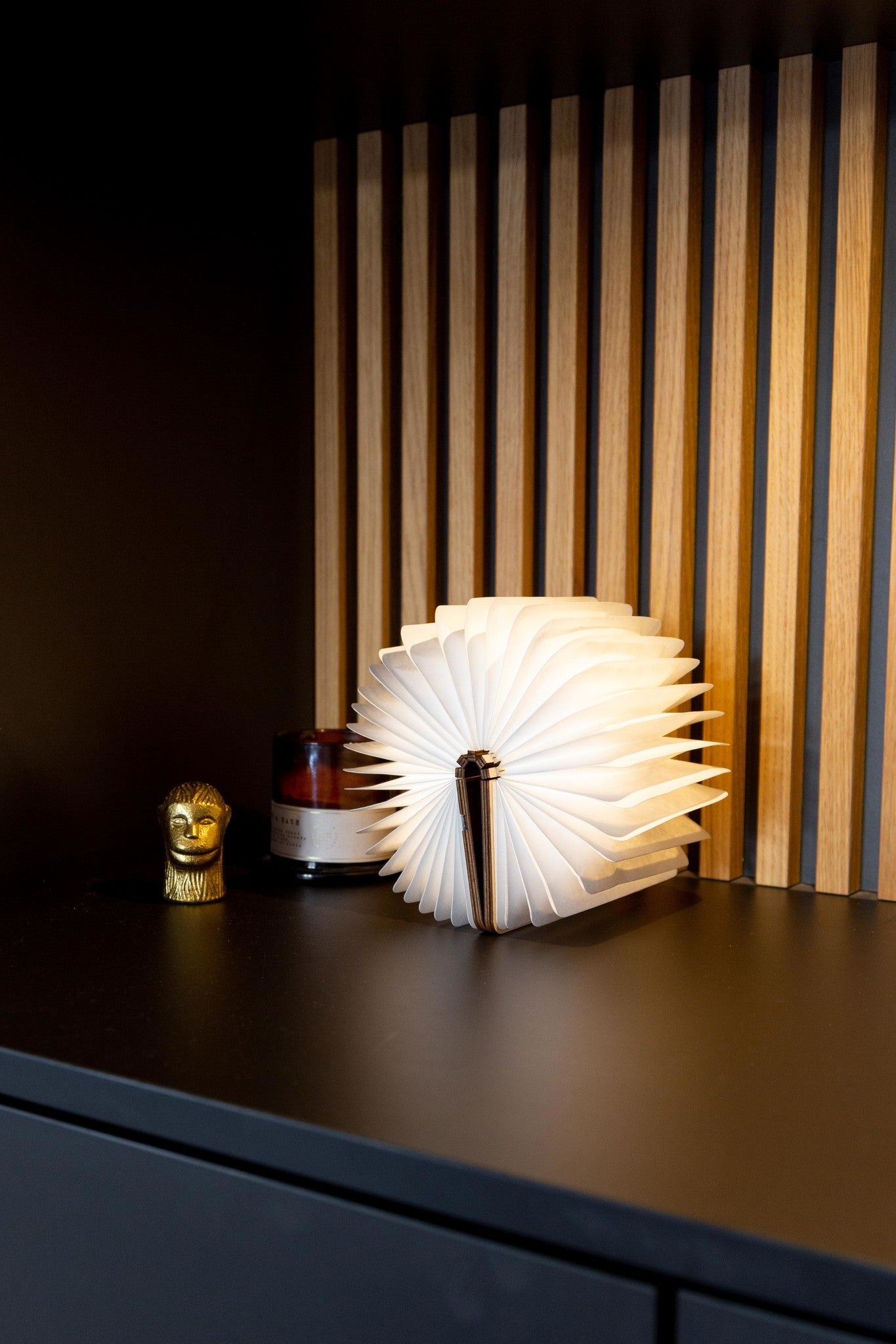 Book Lamp Maple Brown S